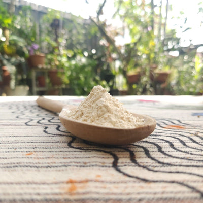 Garlic Powder (100g)